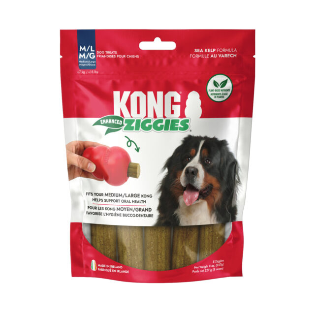Kong Enhanced Ziggies MD/LG