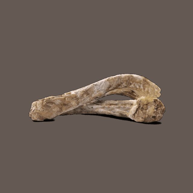 VE Raw Bar Duck Neck