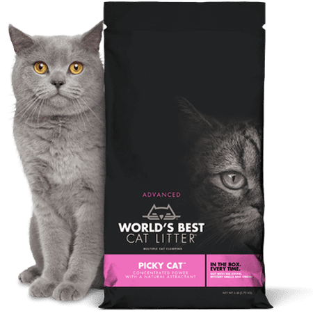 WBCL Picky Cat 6#