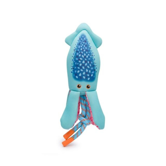 FabDog Floatie Squid