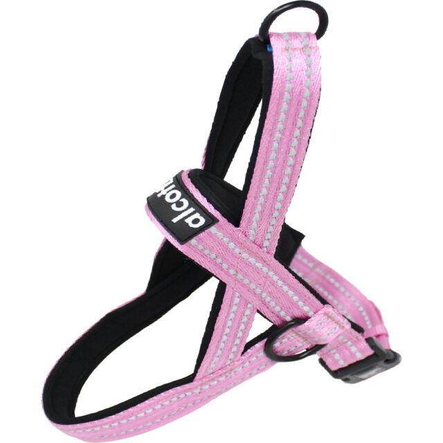 Alcott Norwegian Harness PNK MD