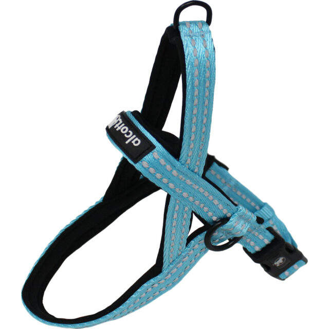 Alcott Norwegian Harness Blue XL