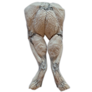 Bones&Co FD Frog Legs