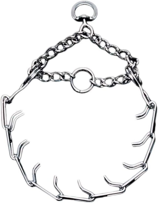 Titan Prong Collar SM 2.0mm 14"