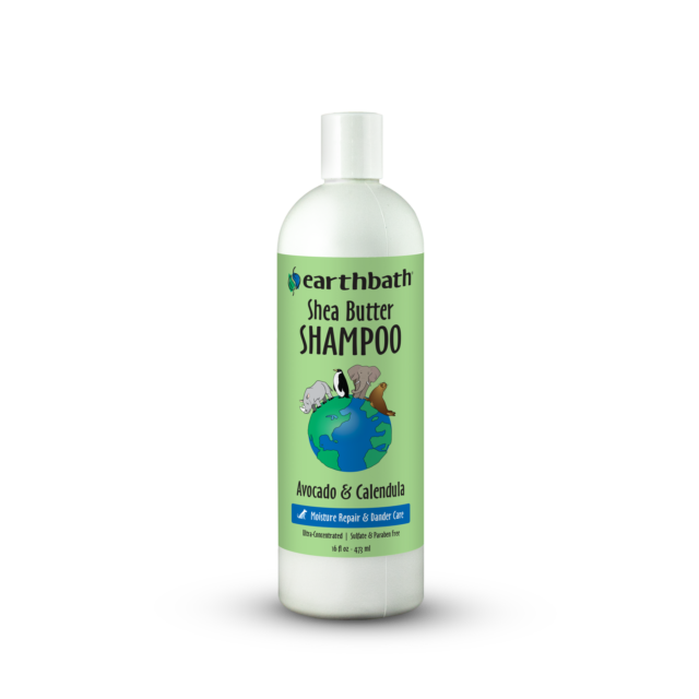 EB Shea Butter Shampoo 16oz