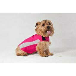ThunderShirt Polo PNK XS