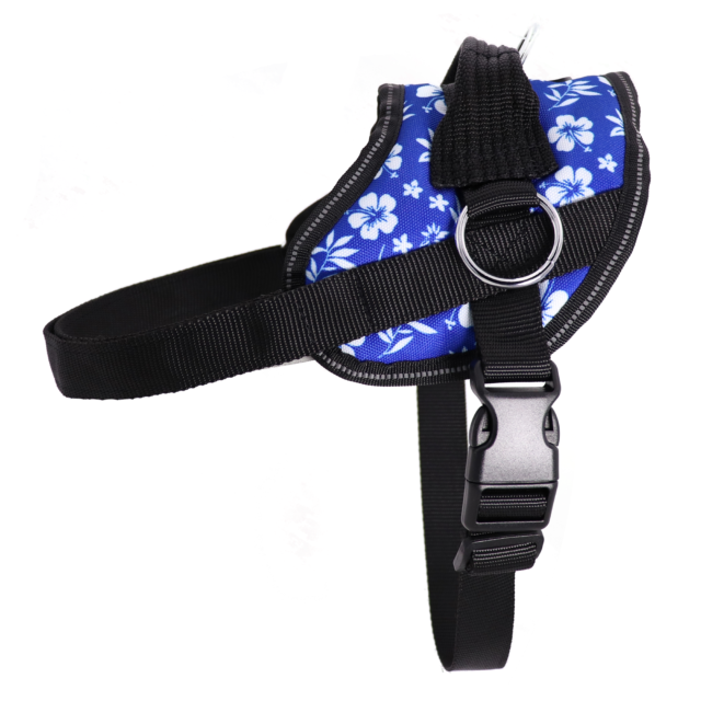 BA Blue No-Pull Hibi Harness XXL