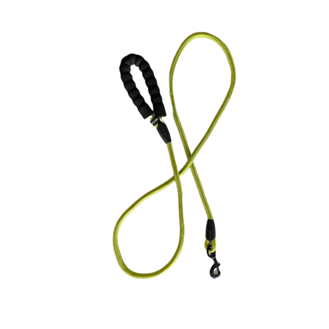 Bark Appeal Rope Leash Green 6'