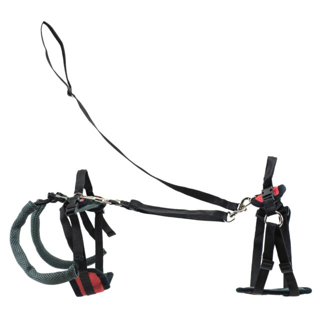 PetSafe Carelift Full Harness MD