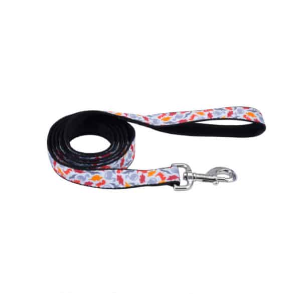 Styles Leash Dinos 6' x 5/8"