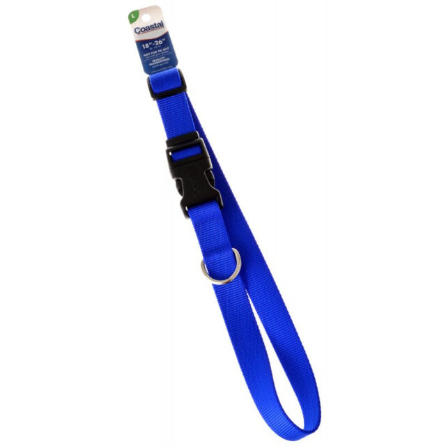 Coastal PL Buckle Collar BLU