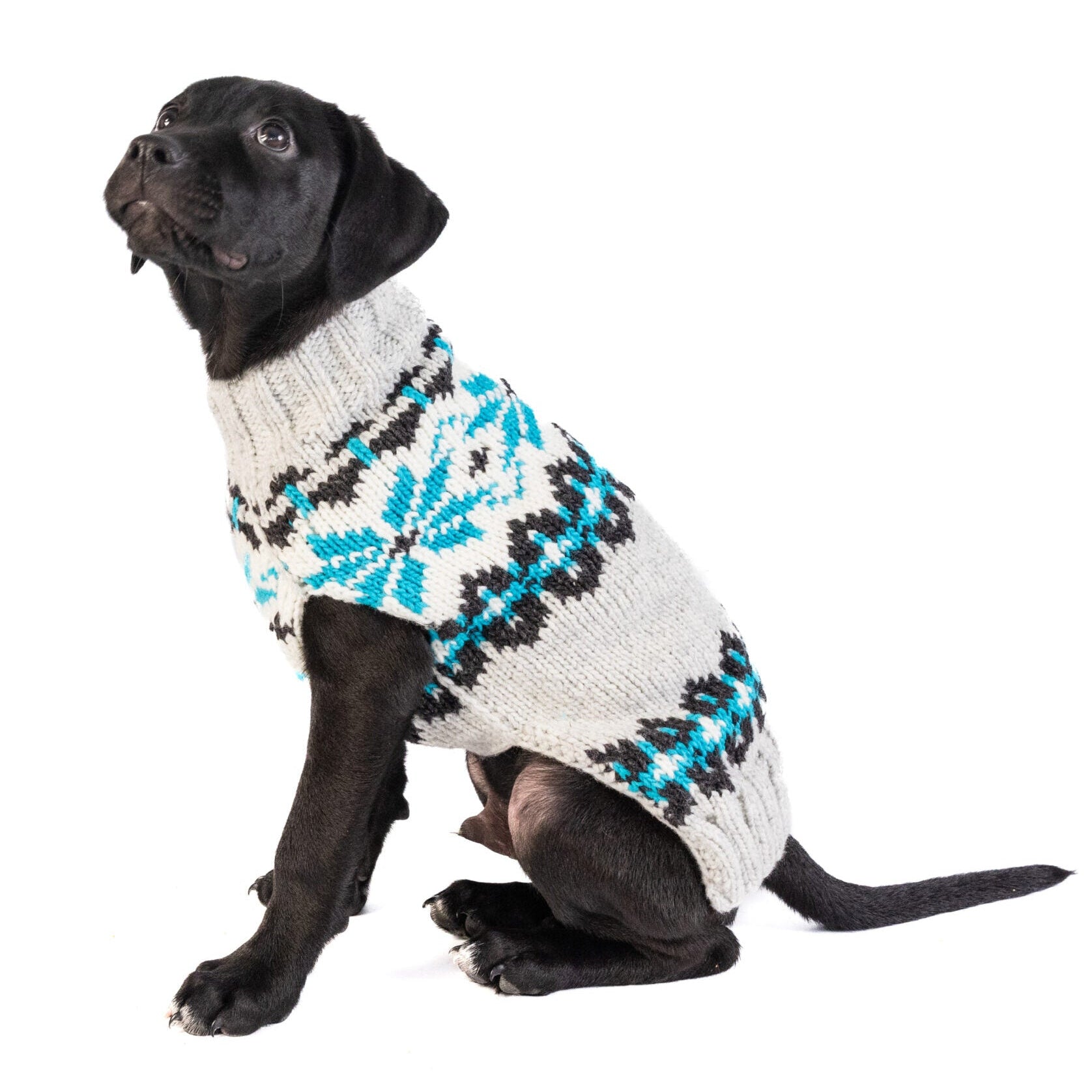 Chilly Dog Frost Sweater