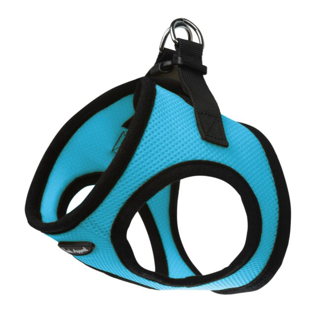 Bark Appeal Harness Aqua