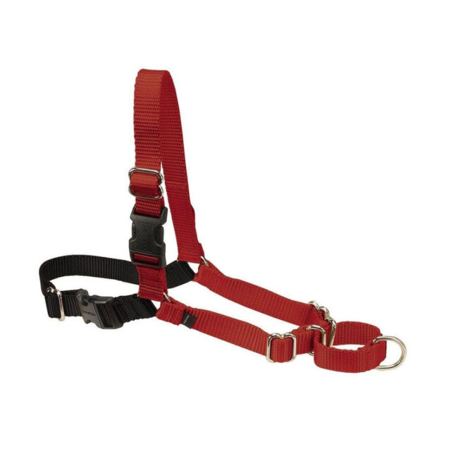 Easy Walk Harness Red