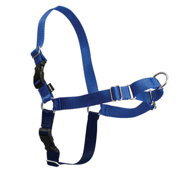 Easy Walk Harness Blue