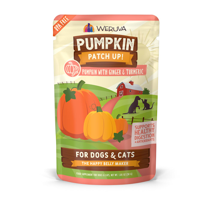 Weruva Pump w/ Ginger