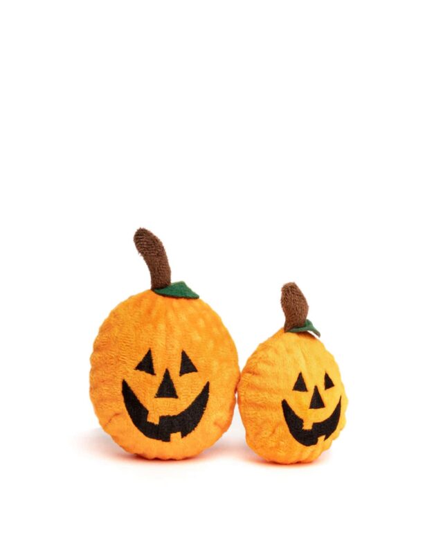 Fabdog Pumpkin Ball