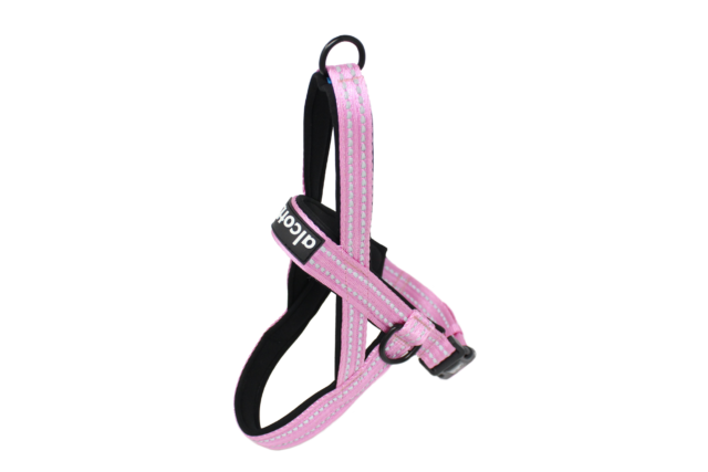 Alcott Norwegian Harness PNK