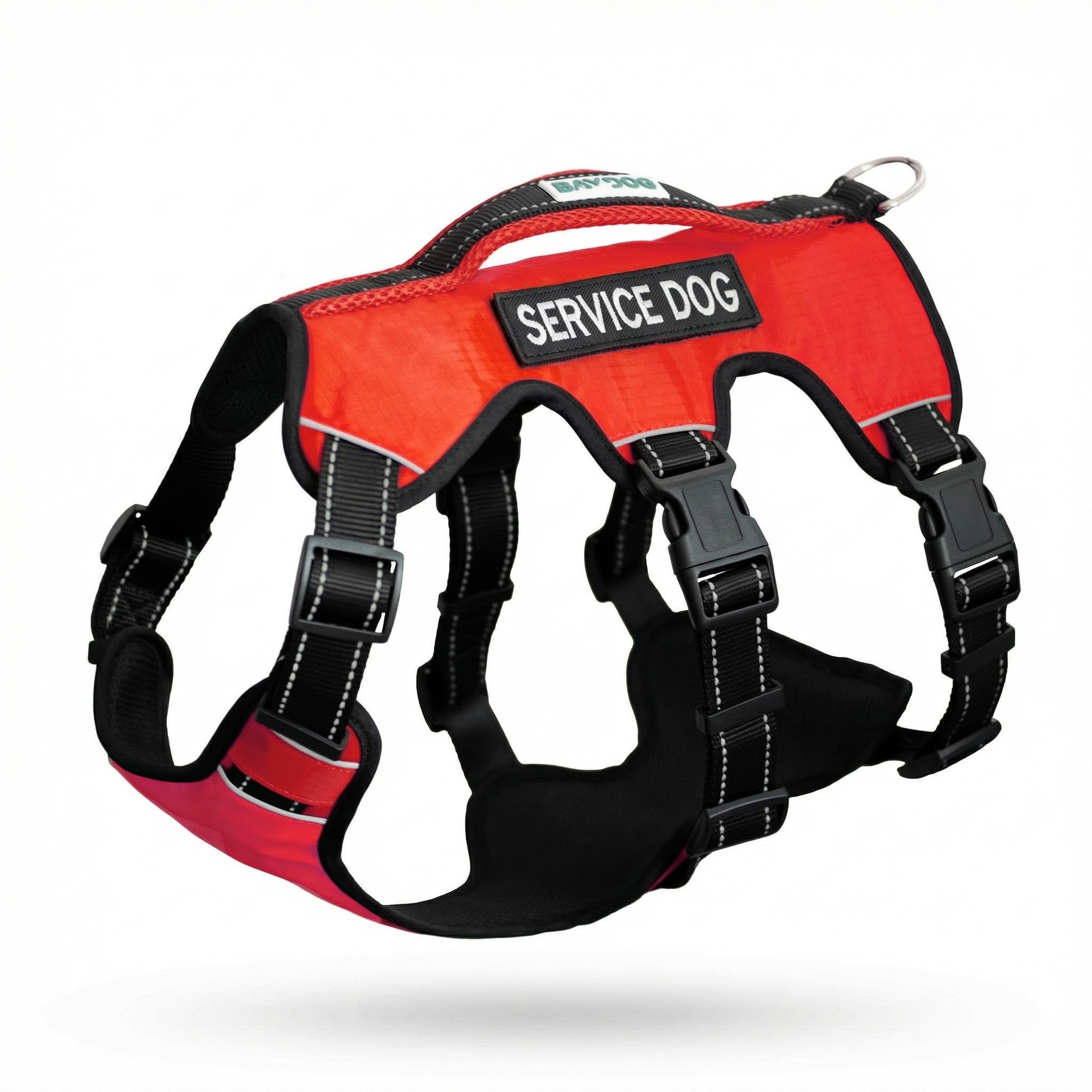 Baydog Galveston Service Dog