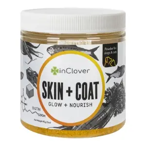 inClover DC Skin+Coat Powder 100