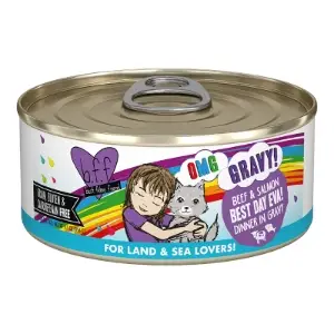 Weruva BFF Beef & Salmon 5.5oz