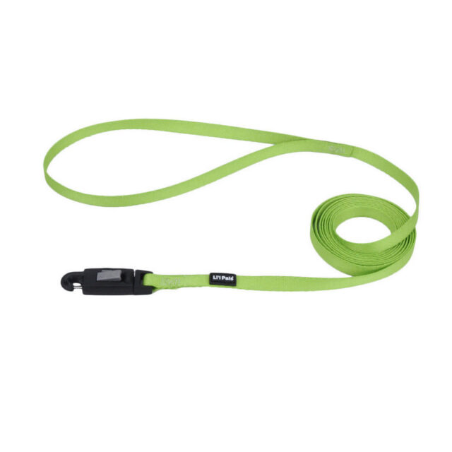 Lil Pals Leash Blue 6'