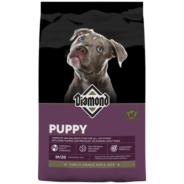 Diamond Puppy
