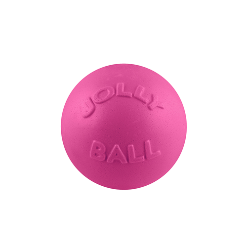 Jolly Pet Bounce 8"