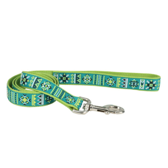 Ribbon Leash PWR6' 1/2 in