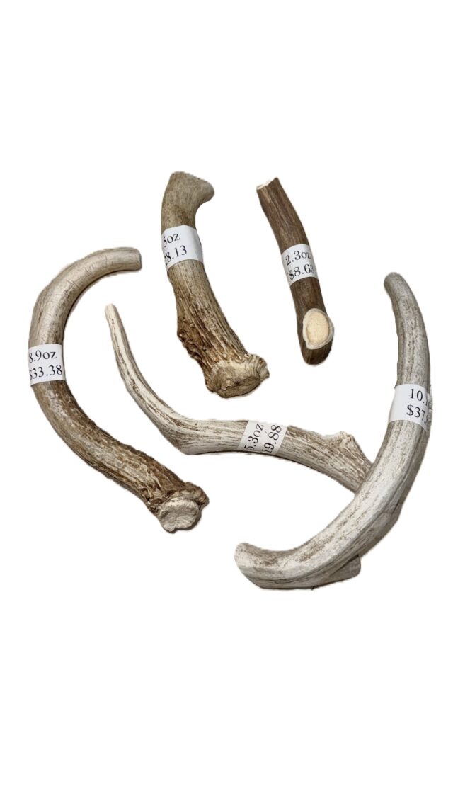 Antler $3.75 per Oz