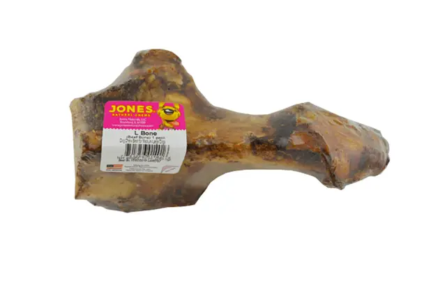 Jones L Bone